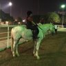 عالمي الامارات - بوحمد's profile picture