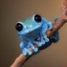 ⚜️🐸⛄🤘Batracien du Nord🤘⛄🐸⚜️ 的头像