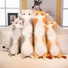 猫一同's profile picture