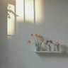 Фото профиля saii
