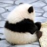 Profilbild von いおり