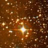 canis majoris's profile picture
