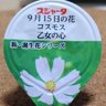 Profilbild von 案山子(用務員)