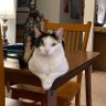 Ruthie Kitty/2012!'s profile picture