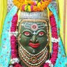 shailendra pandey's profile picture