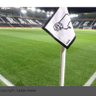 Steve Thornton's profile picture