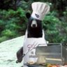 Bear Grillz's profile picture