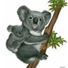 Luis Lopez's profile picture