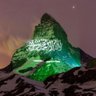 🇸🇦 ﺳ̭͠؏ـد الَآﺳ̭͠مـريِّ 🇸🇦 profil fotoğrafı