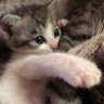 〜波〜 profil fotoğrafı