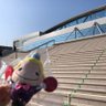 Profilbild von ここ
