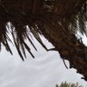 ابن باذر's profile picture