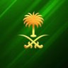 من توكل على الله كفاه's profile picture