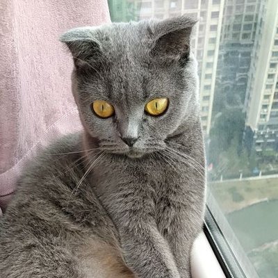 練塀8世's profile picture