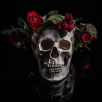 Lesa's profile picture