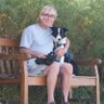 Gordon B-P #FBPE #Vets4EU profil fotoğrafı