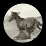 Profilbild von عنتره بن شدّاد