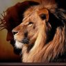 Profilbild von Aliento de Vida Iglesia Cristiana