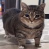 aaaa's profile picture