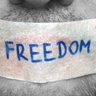 Profilbild von Freedom 242congo❤