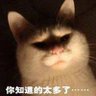 Фото профиля 林宇傑
