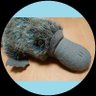 Profilbild von カモノハス