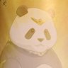 💫Fighting Panda🐼戦うパンダ💫 profil fotoğrafı