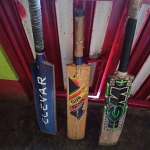 Fagri83886292's profile picture