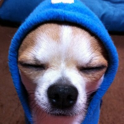 m roy 🌞's profile picture
