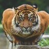 DaXFuX profil fotoğrafı