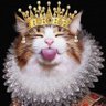 Nilaya88 profil fotoğrafı