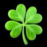 Christophe Lemaire's profile picture
