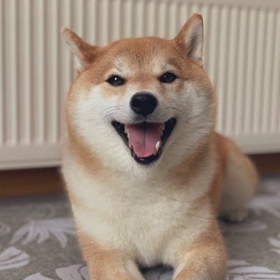 æŽç¬ãã«'s profile picture