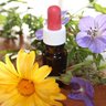 الصيدلية الطبيعية (The Natural Pharmacy) profil fotoğrafı