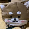 ずっぴ 的头像