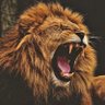 shumba24kings's profile picture