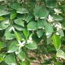 Фото профиля آراتا