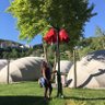 Stran Şev profil fotoğrafı