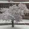 Frosty ❄️ profil fotoğrafı