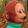 Profilbild von Matt Allen