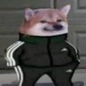 ThiccShibe 的头像