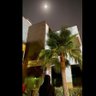 منيره الرويتع 🇸🇦 的头像