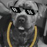 Profilbild von 🅰️🆔️🅰️🆖️