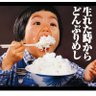 Profilbild von カラシとパンチ(笑)