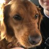 AJ's profile picture