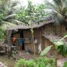 Ngân Nguyễn profil fotoğrafı