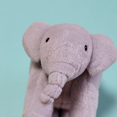 アルン🐘's profile picture