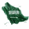 البرنس.. 🇸🇦 profil fotoğrafı