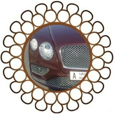 ساره بوحميد's profile picture