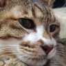 Фото профиля あららら7